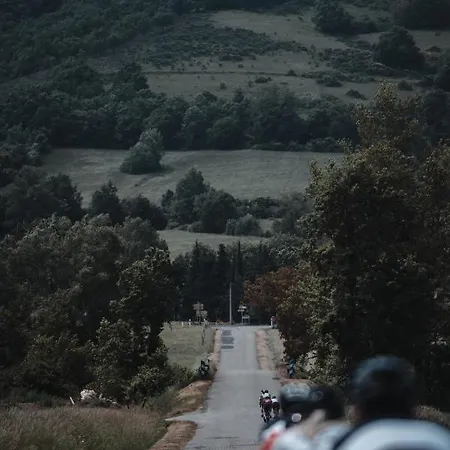 Bed & Breakfast Le Bezy Pyrenees *